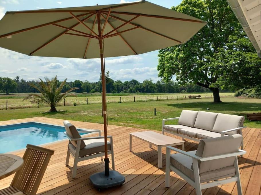 Maison Neuve Avec Piscine Chauffee, 4 Kms De Contis Plage Saint-Julien-en-Born Bagian luar foto